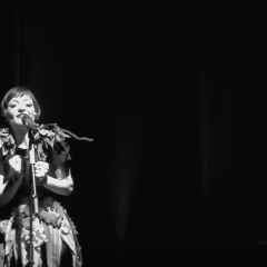 Nieuwe single Ann Helena Kenis