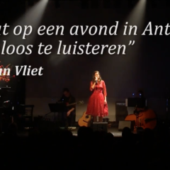 In de schaduw van Toon Hermans